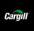 CARGILL AND RISOIL TO BUILD GRAIN TERMINAL AT ILLICHIVSK MERCHANT SEAPORT (ODESA REGION) BY 2014 