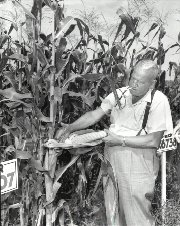 1959, August 27. CA. Coon Rapids, Iowa. KHRUSHCHEV WANTS TO SEE HIM. Roswell Garst, 61, above, examining a stand of hybrid corn on his Coon Rapids, Iowa, farm, is one man Soviet Premier Khrushchev says he wants to see while in the United States. Garst, who has twice visited Russia, met Khrushchev previously. N.E.A. Photo (Front)